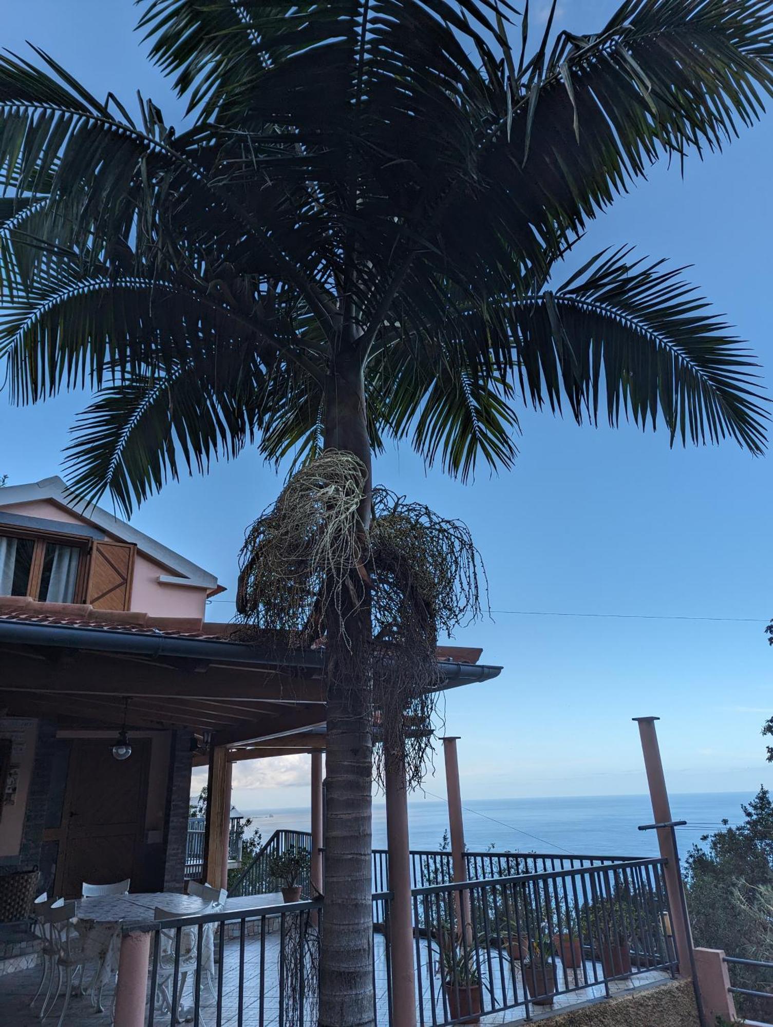 Fantatic Holiday House ปอนตา เดลกาดา ภายนอก รูปภาพ